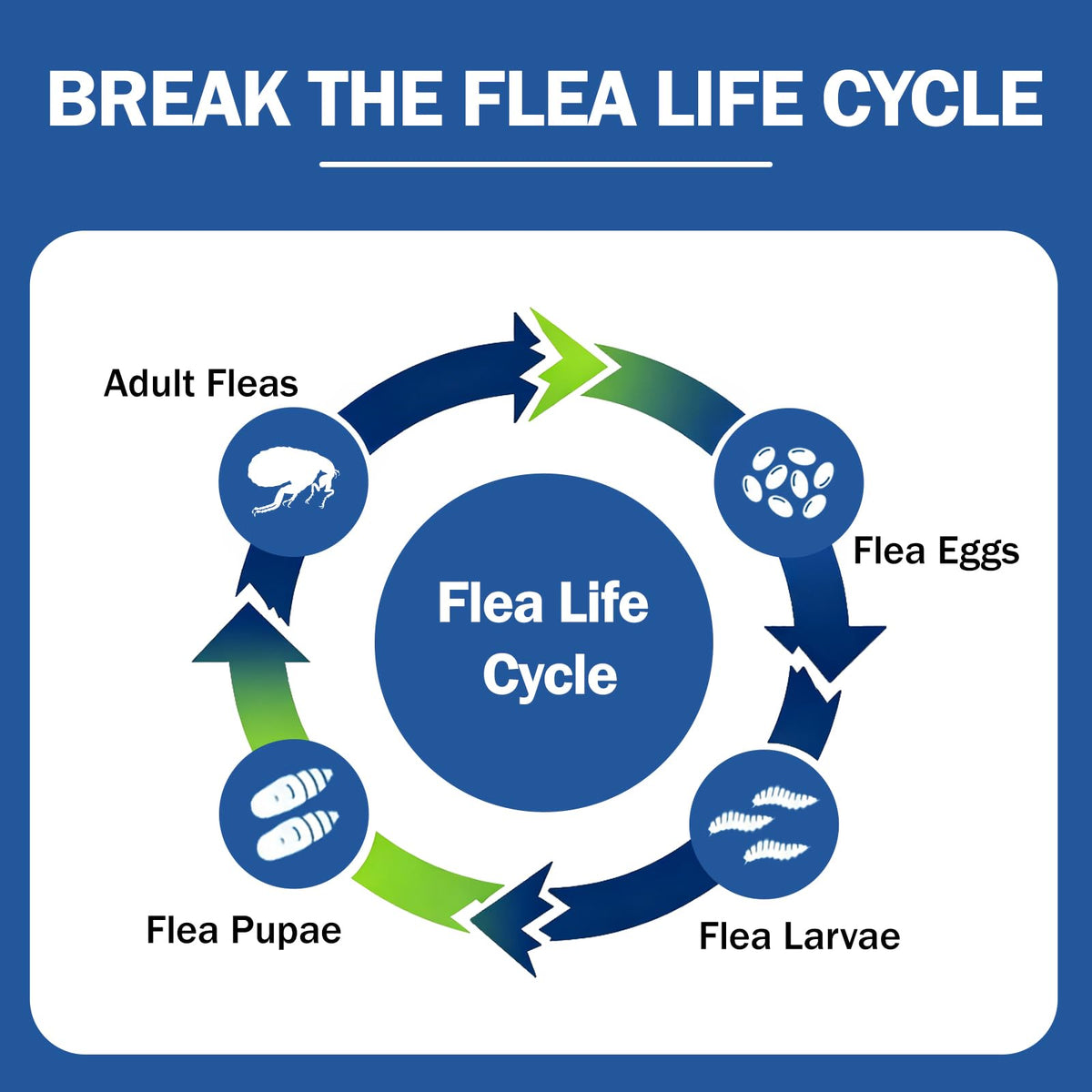 Flea and Tick Prevention for Small and Medium Dogs G662