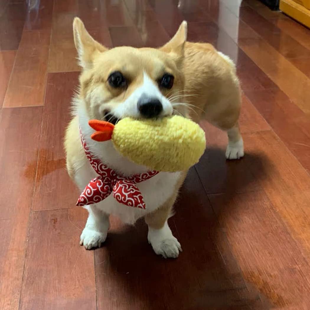 Bite Proof Squeaky Dog Toy Q312