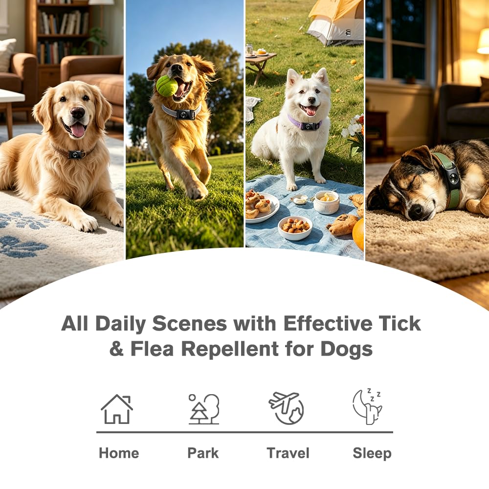Flea and Tick Pendant for Dogs with 2 Silicone Buckles 4 Refills N83585