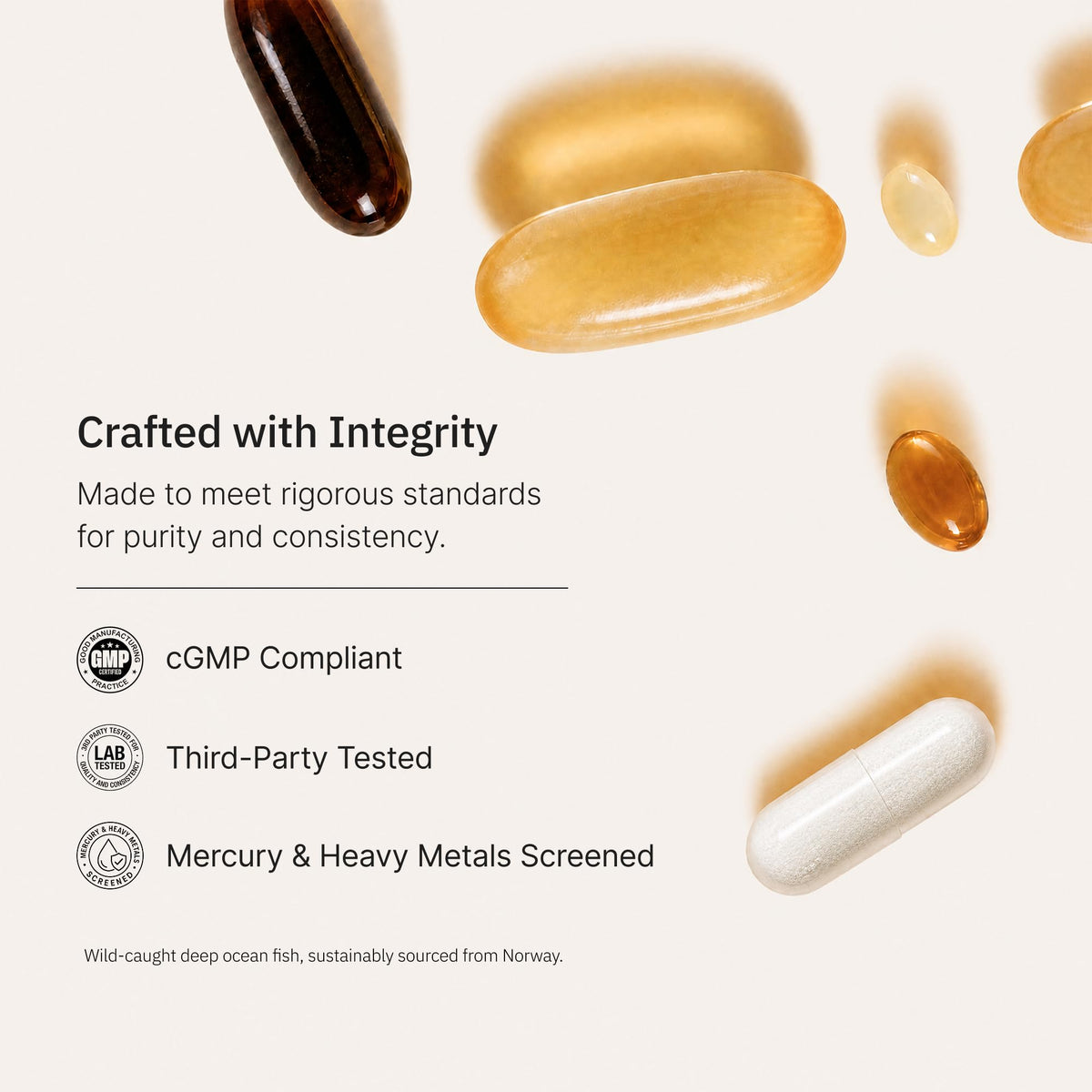 Omega-3 Fish Oil 1000mg 240 Softgels J2676