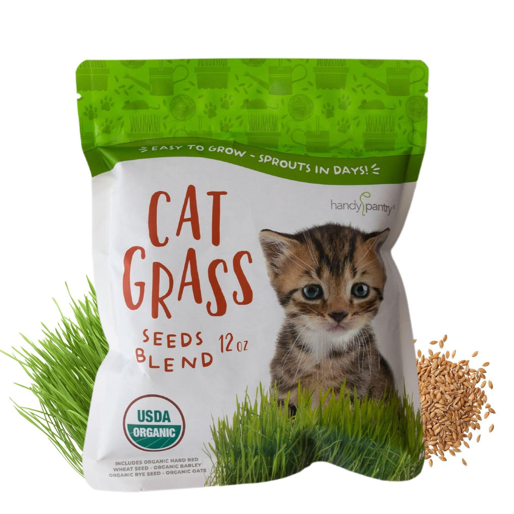 Organic Cat Grass Seed Blend 12 oz Y83899