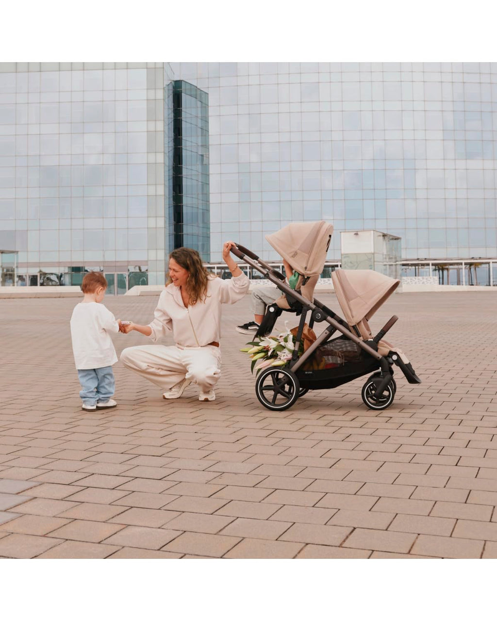Chocolate Brown Stroller Seat Z490
