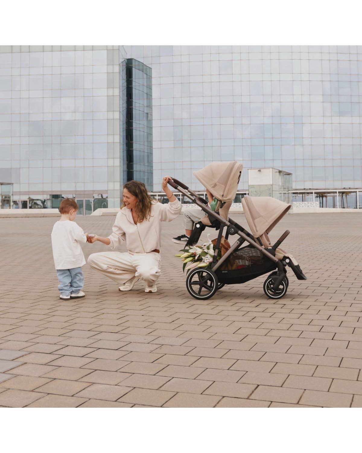 Chocolate Brown Stroller Seat Z490