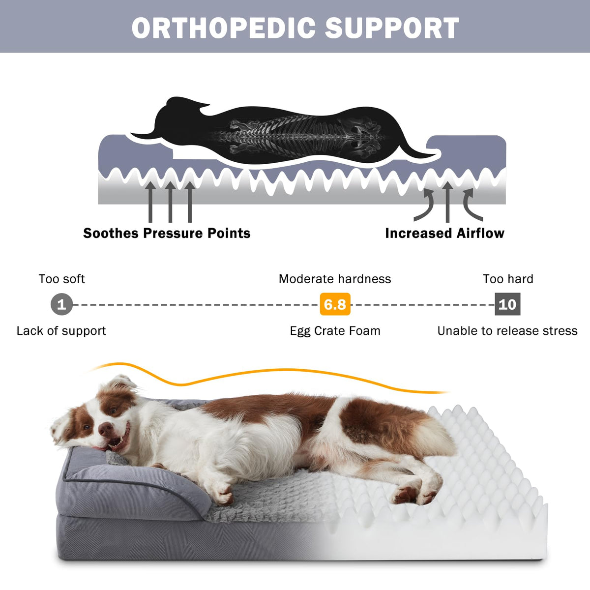 XL Washable Orthopedic Dog Sofa with Egg-Crate Foam C436