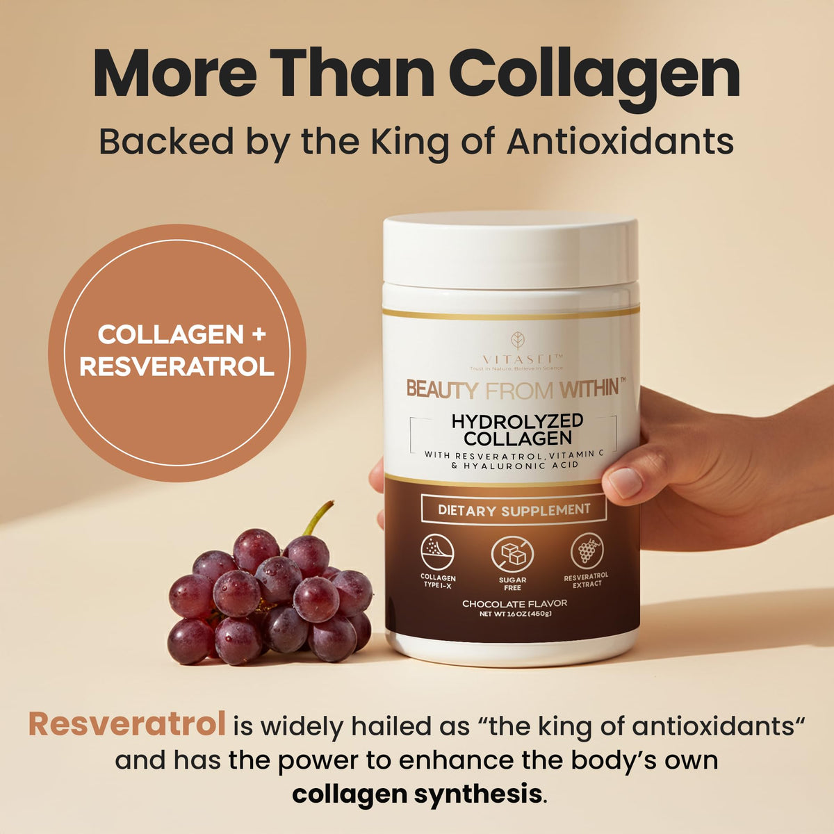 Hydrolyzed Collagen Peptide Powder Drink Chocolate Flavored 16oz C9227