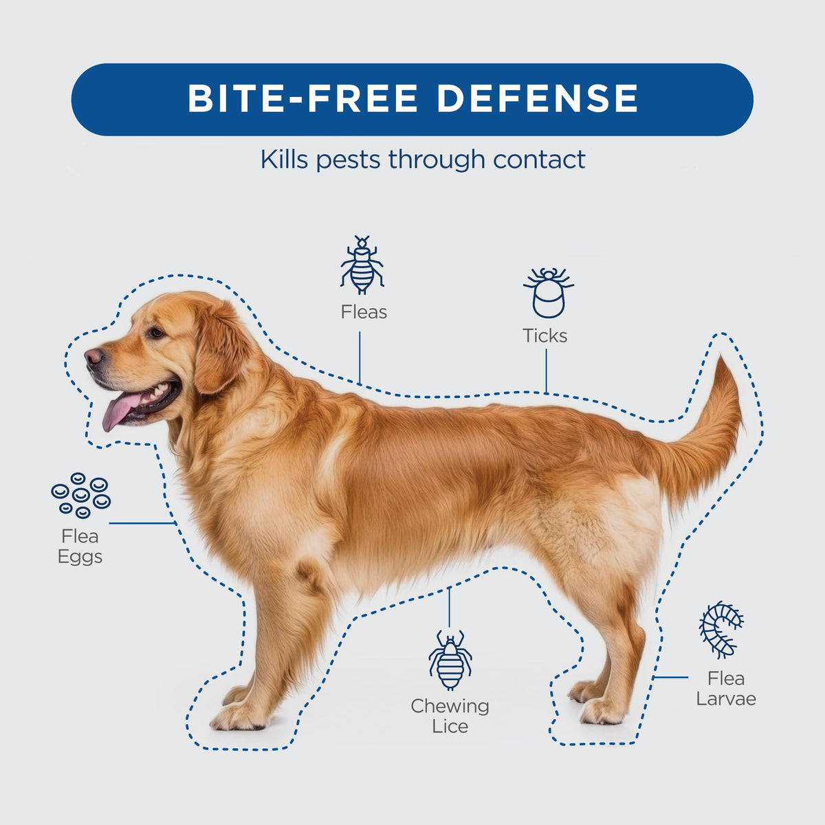 Flea and Tick Prevention for Dogs 23-44 lbs 3 Month Supply H446