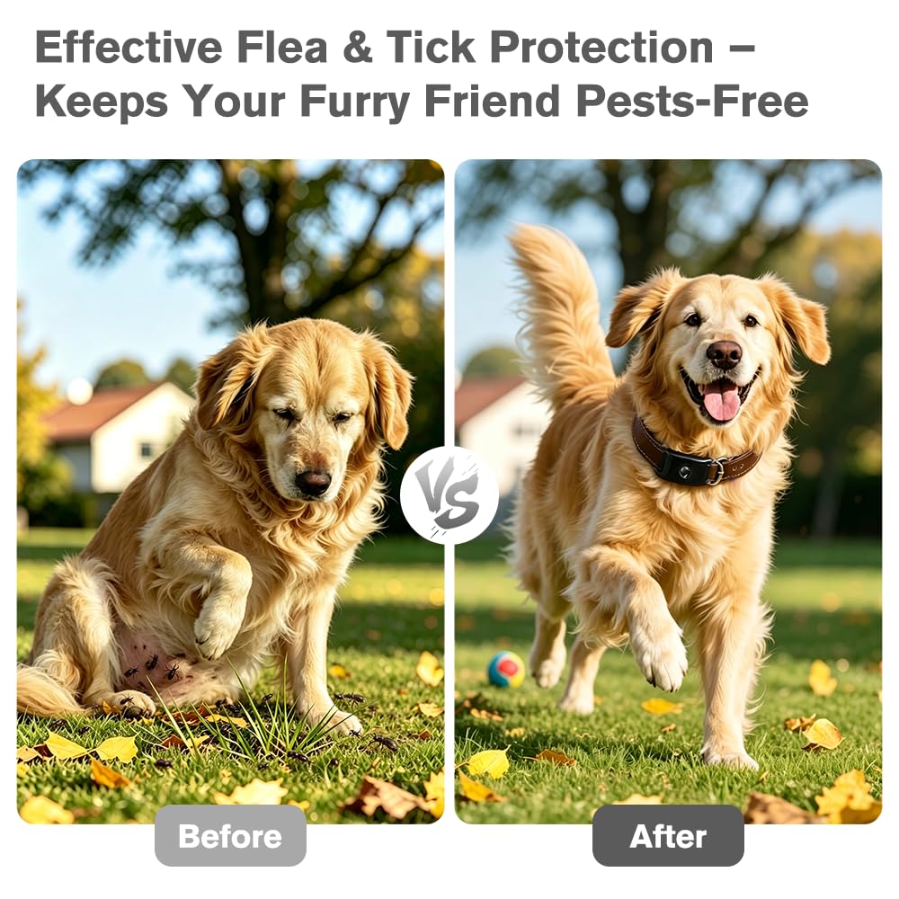 Flea and Tick Pendant for Dogs with 2 Silicone Buckles 4 Refills N83585