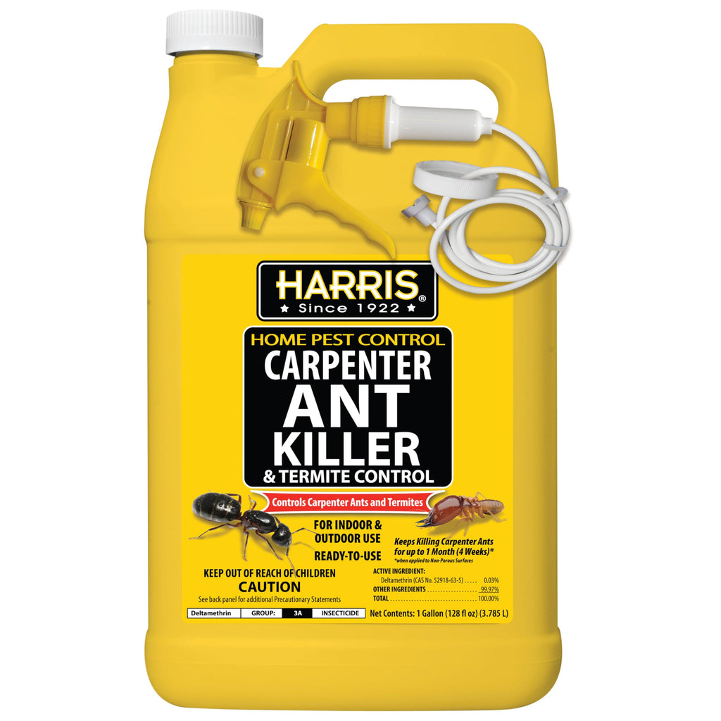 Carpenter Ant Killer & Termite Control Treatment 128 Oz B634026