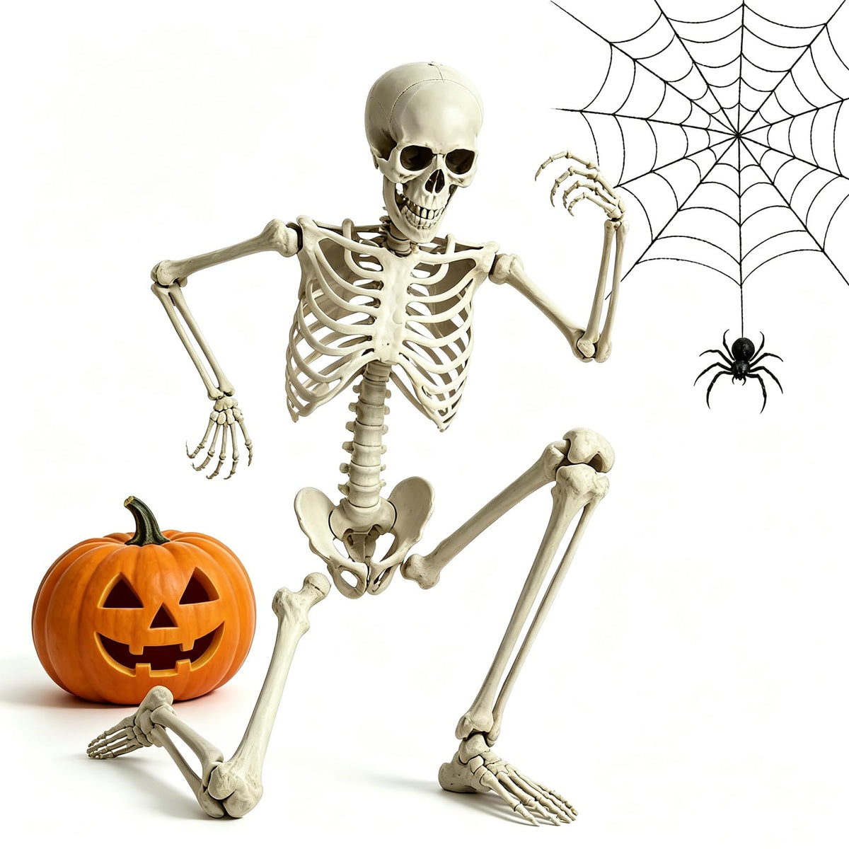 5.4FT Life Size Skeleton with Movable Joints H39030
