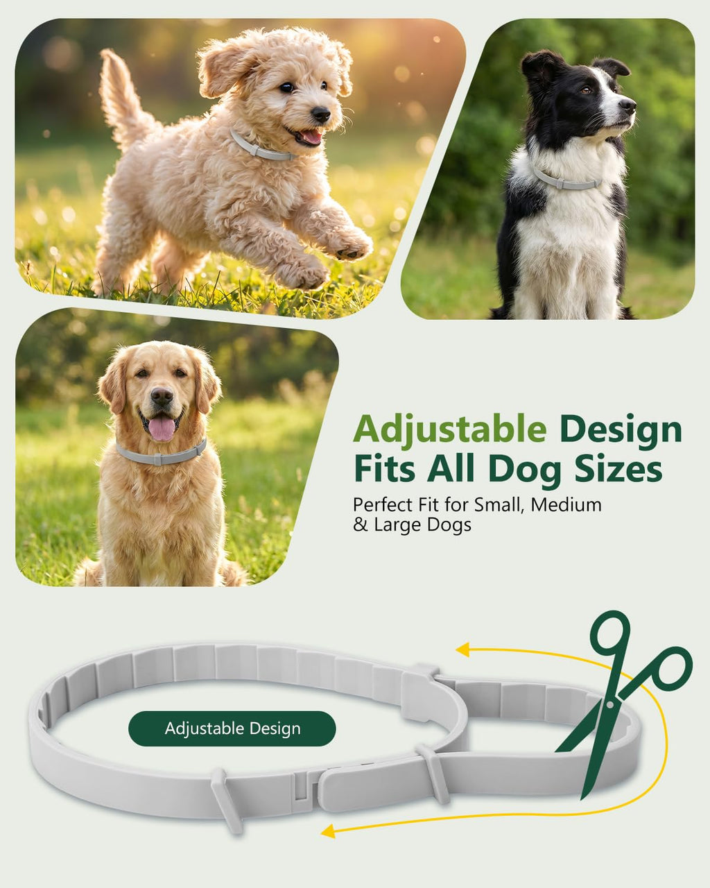 4 Pack Adjustable Waterproof Flea & Tick Dog Collar F31371