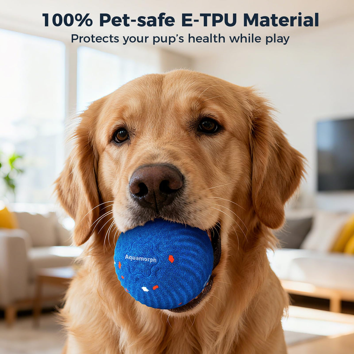 2-Pack Interactive Washable Dog Ball I2165