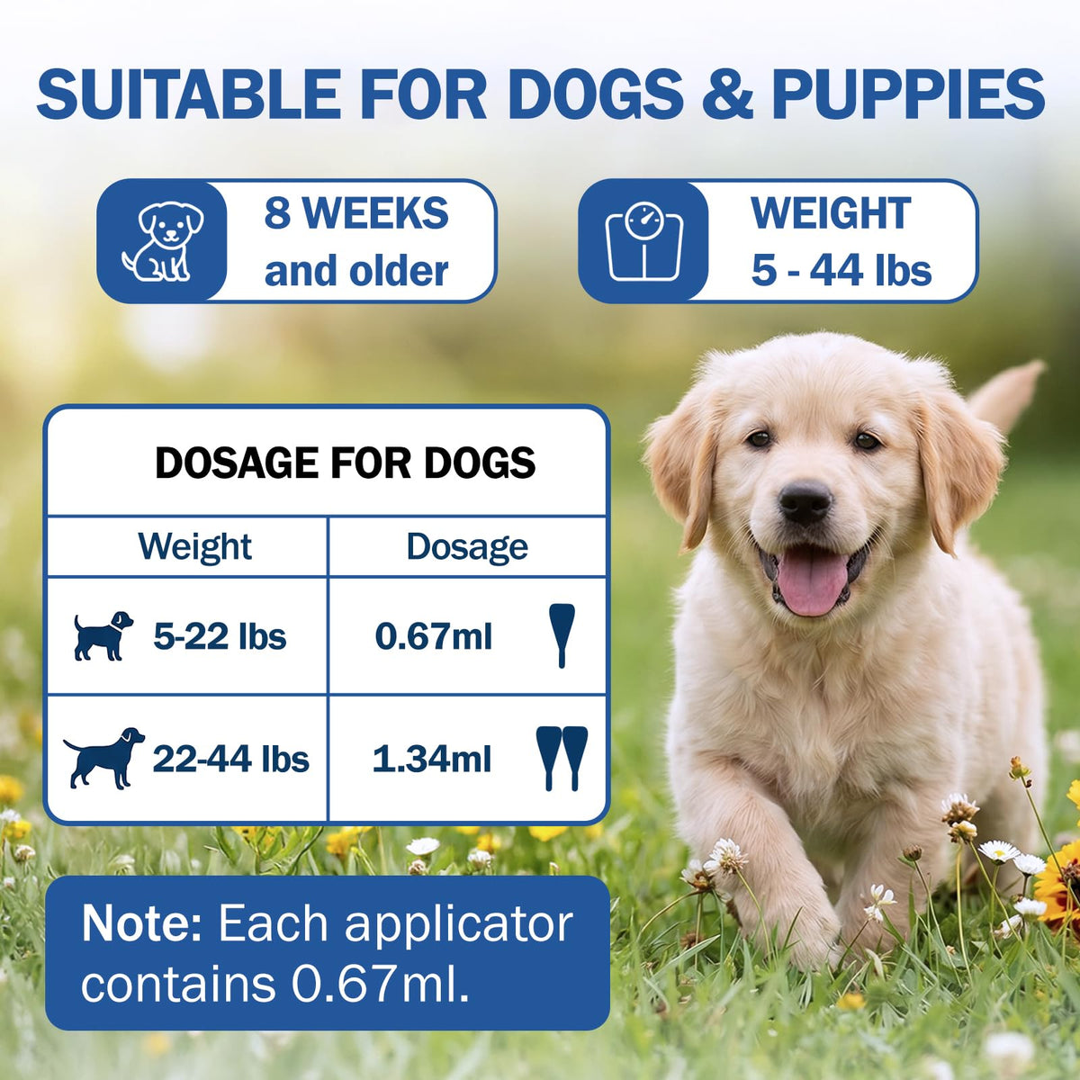 Flea and Tick Prevention for Small and Medium Dogs G662