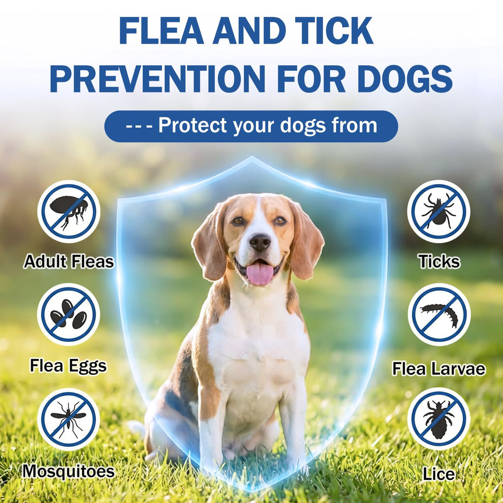 Flea and Tick Prevention for Small and Medium Dogs G662