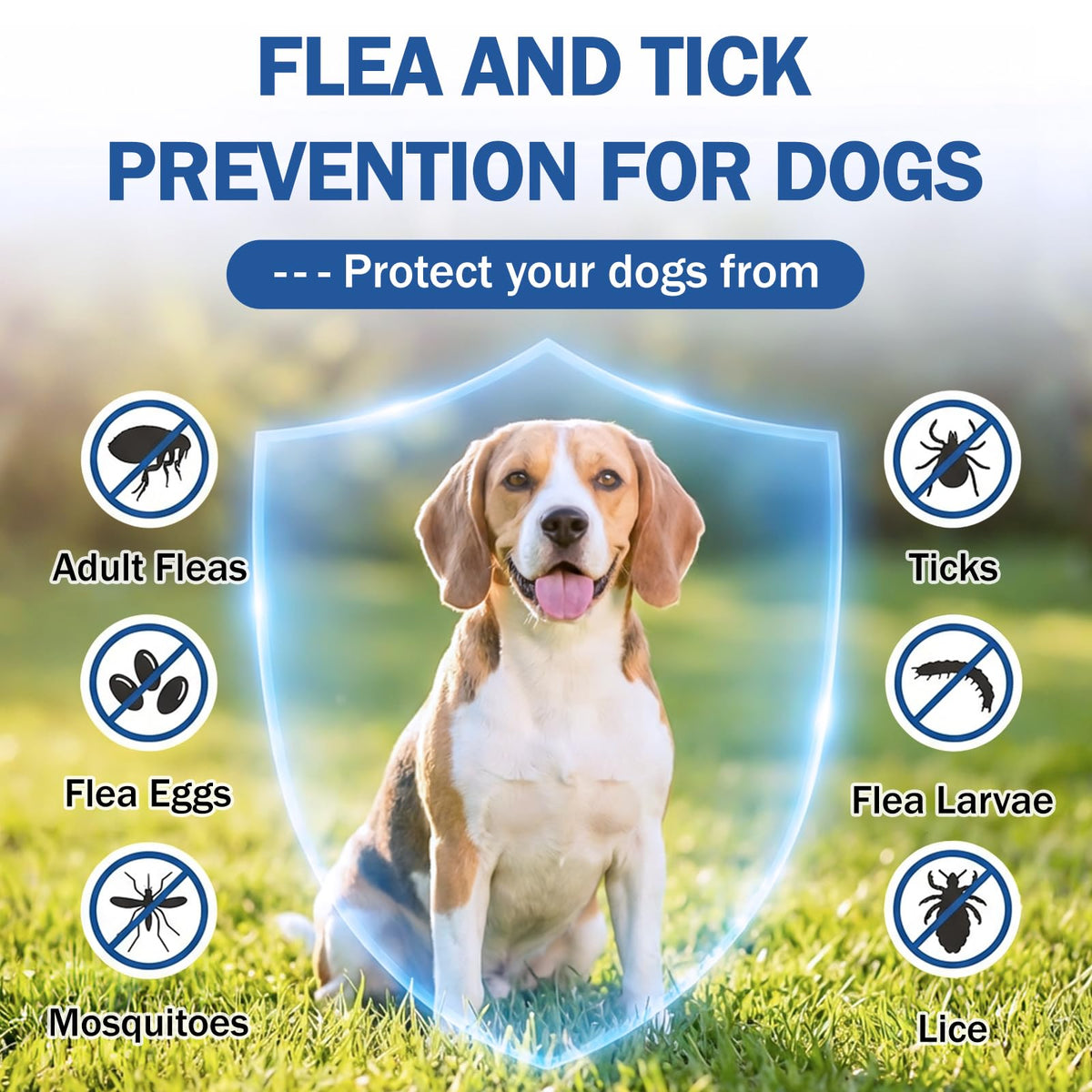 Flea and Tick Prevention for Small and Medium Dogs G662
