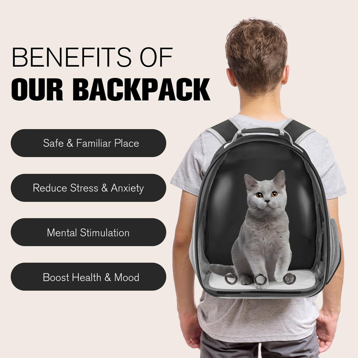 Black Cat Pet Carrier Backpack D32284