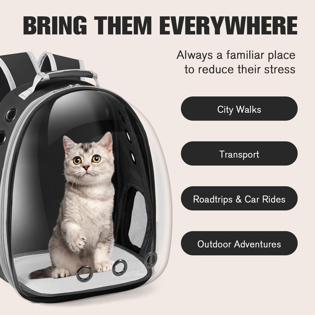 Black Cat Pet Carrier Backpack D32284