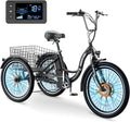 350W 36V 7 Speeds Electric Tricycle with Basket R314