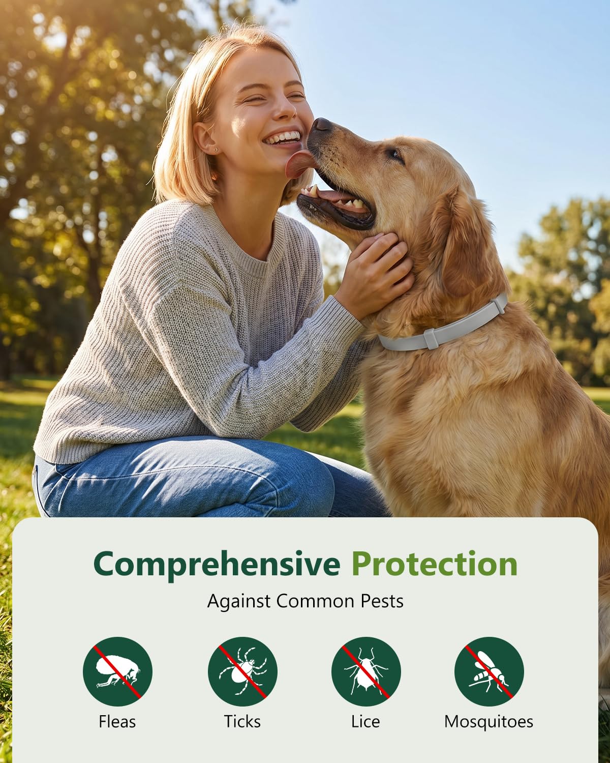 4 Pack Adjustable Waterproof Flea & Tick Dog Collar F31371