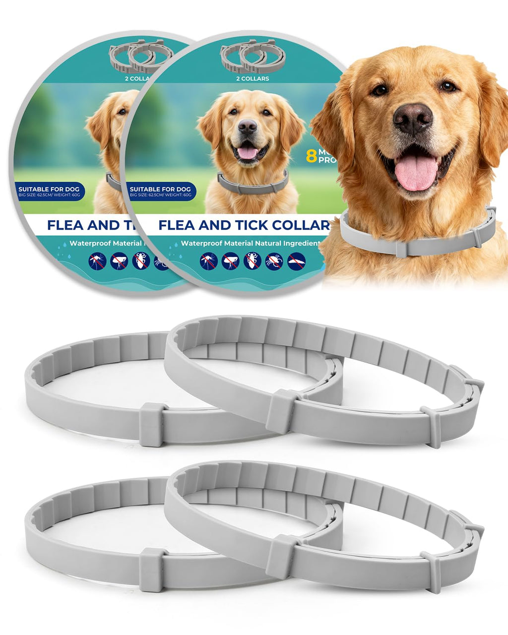 4 Pack Adjustable Waterproof Flea & Tick Dog Collar F31371
