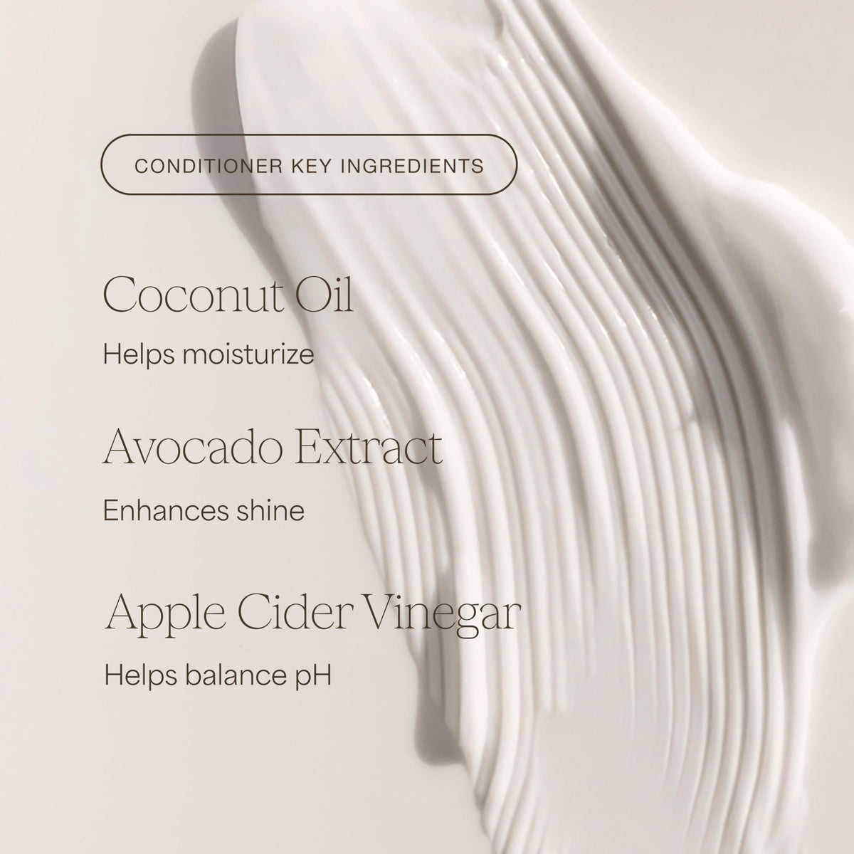 Shampoo and Conditioner Set 16 Fl Oz H44725