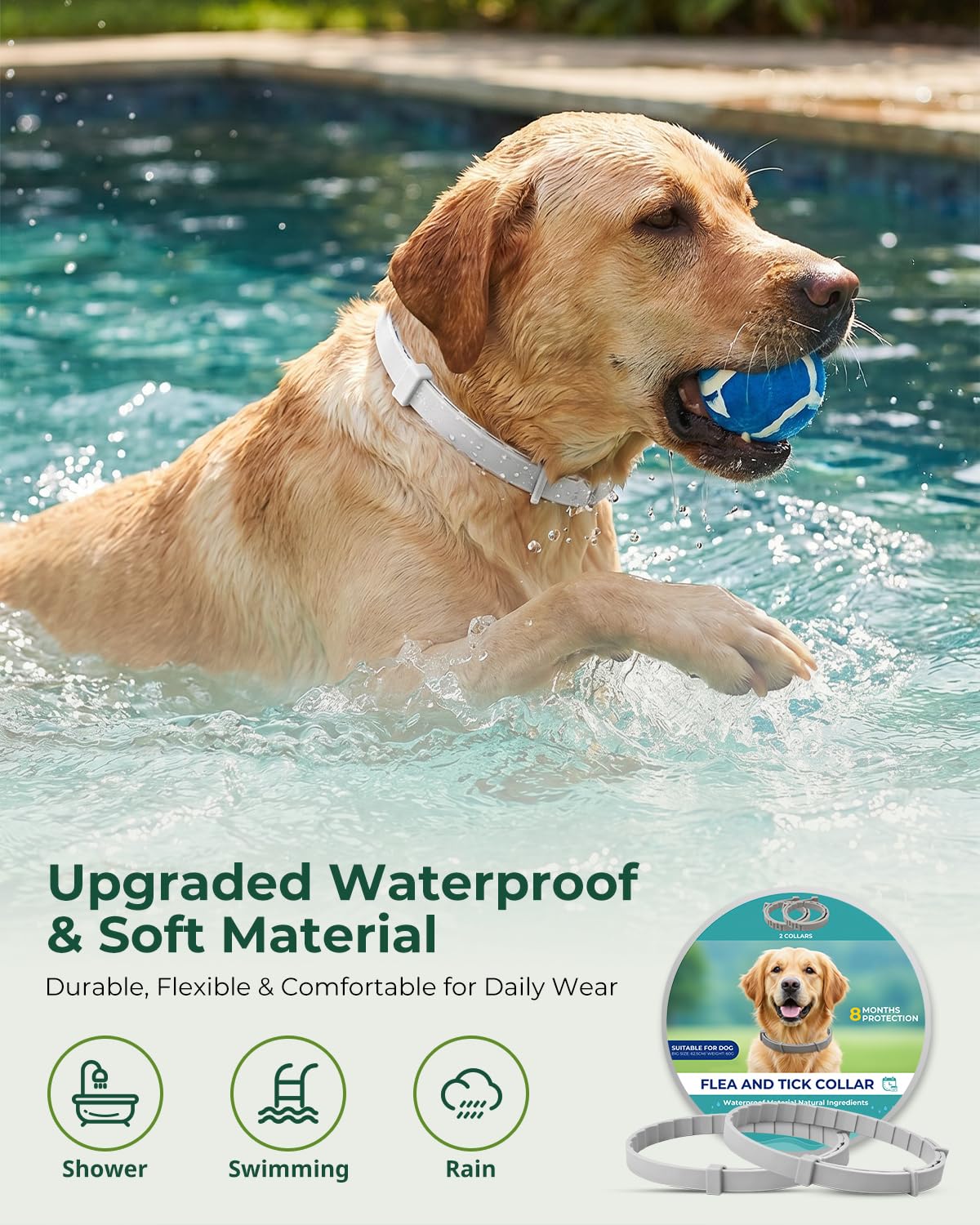 4 Pack Adjustable Waterproof Flea & Tick Dog Collar F31371