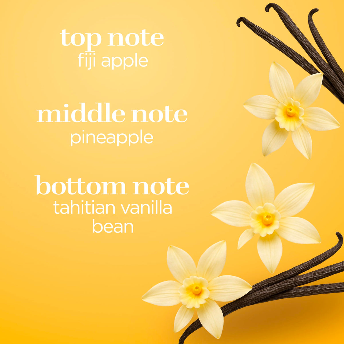 Vanilla Body Spray 8 fl oz (Pack of 2) Y14744