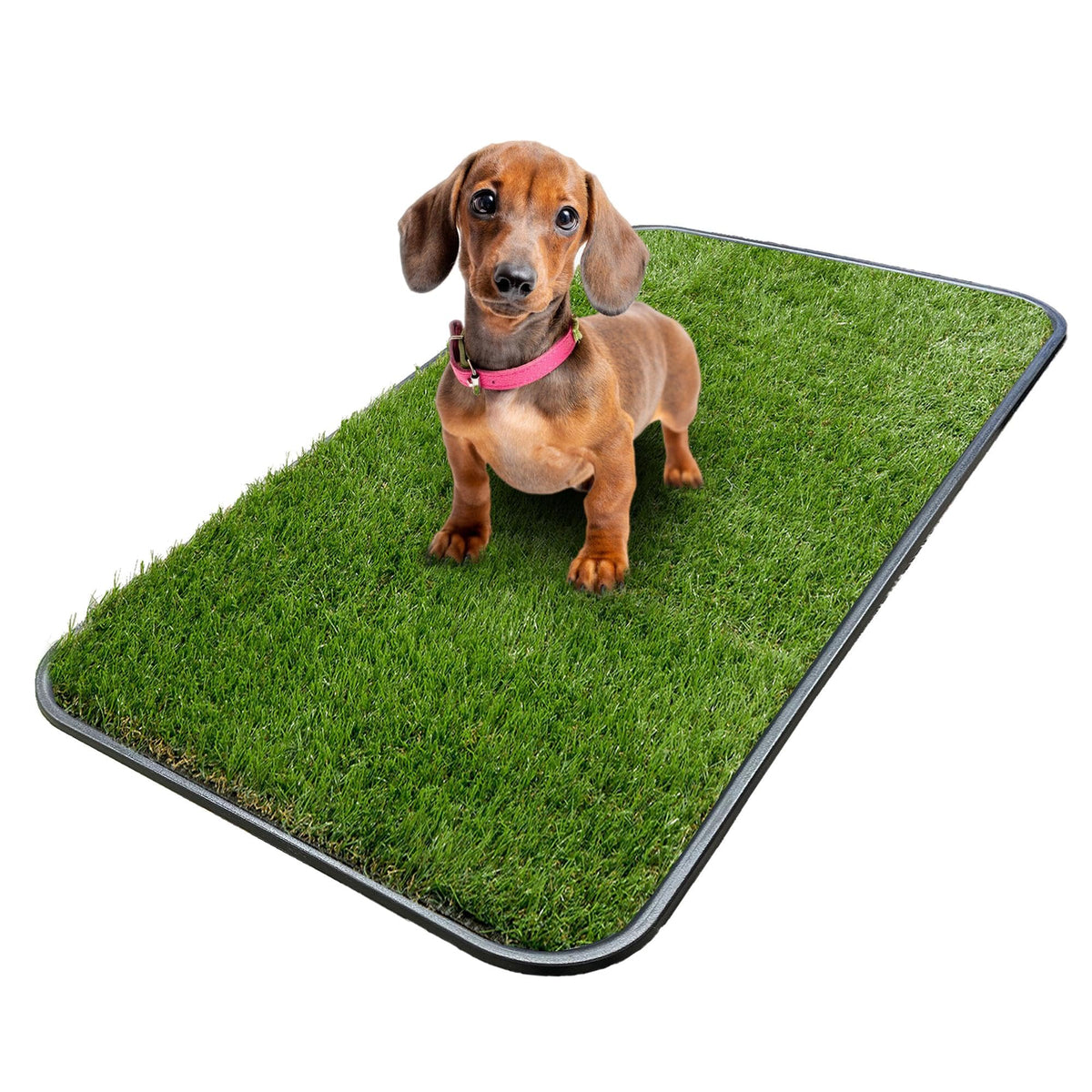 Artificial Grass Puppy Potty Training Pad with Tray 15" x 30" Q759353