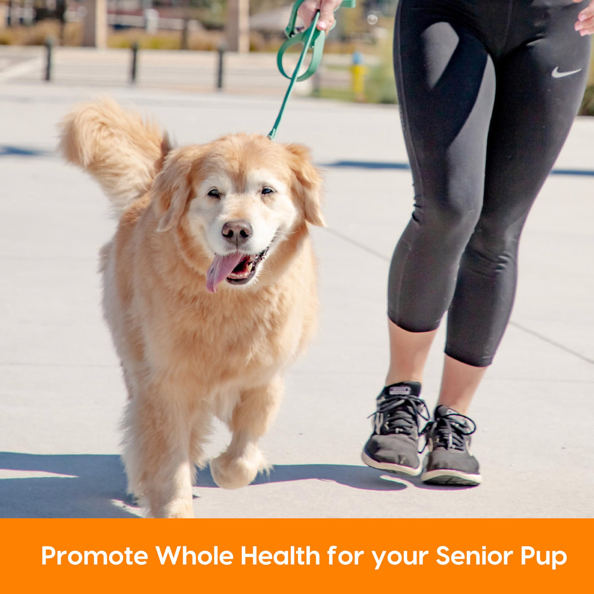 Senior Dogs Soft Chews 90 ct U5972