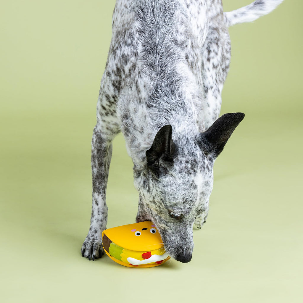 Latex Dog Toy R6013
