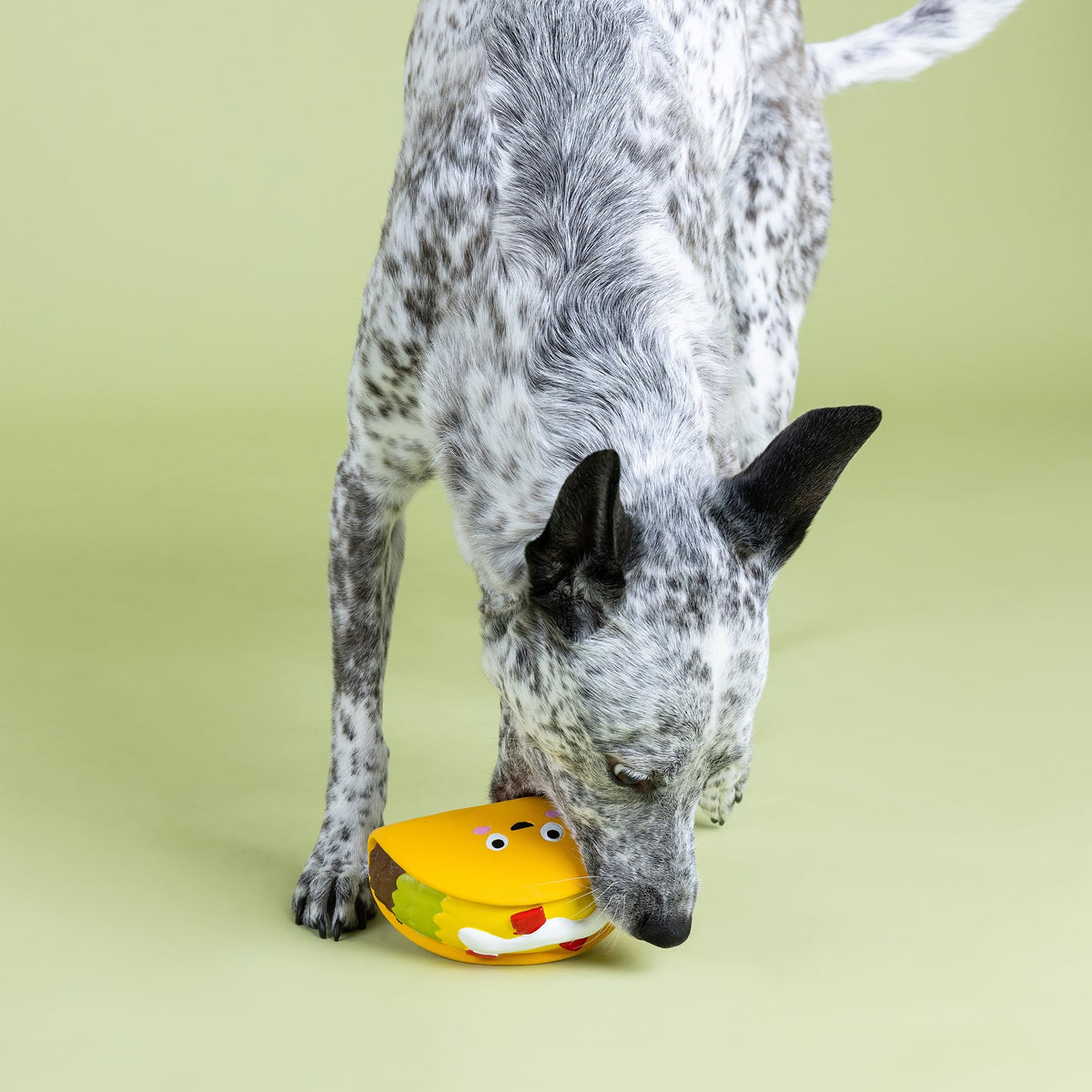 Latex Dog Toy R6013