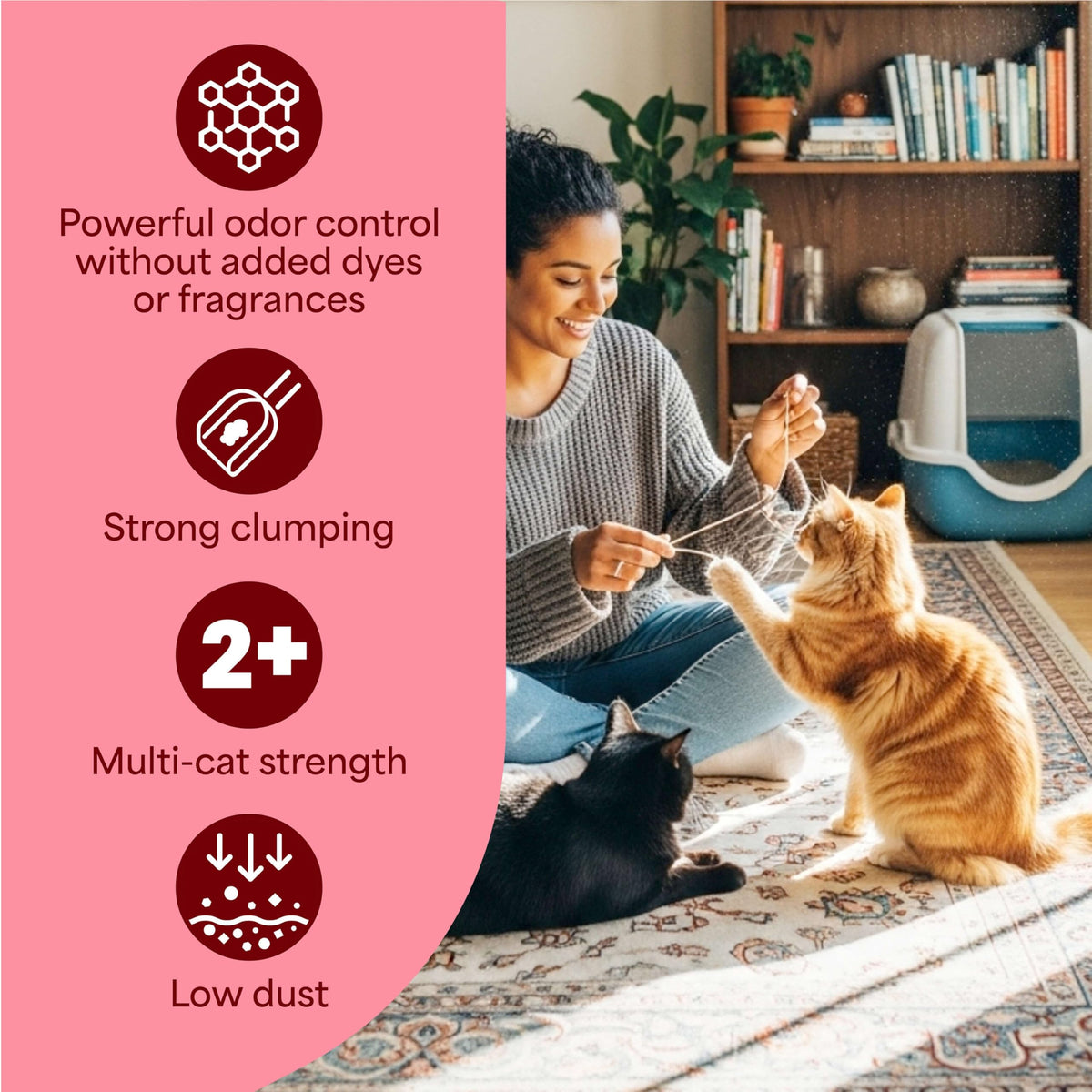 Unscented Clumping Cat Litter with Activated Charcoal, 14 lb C120