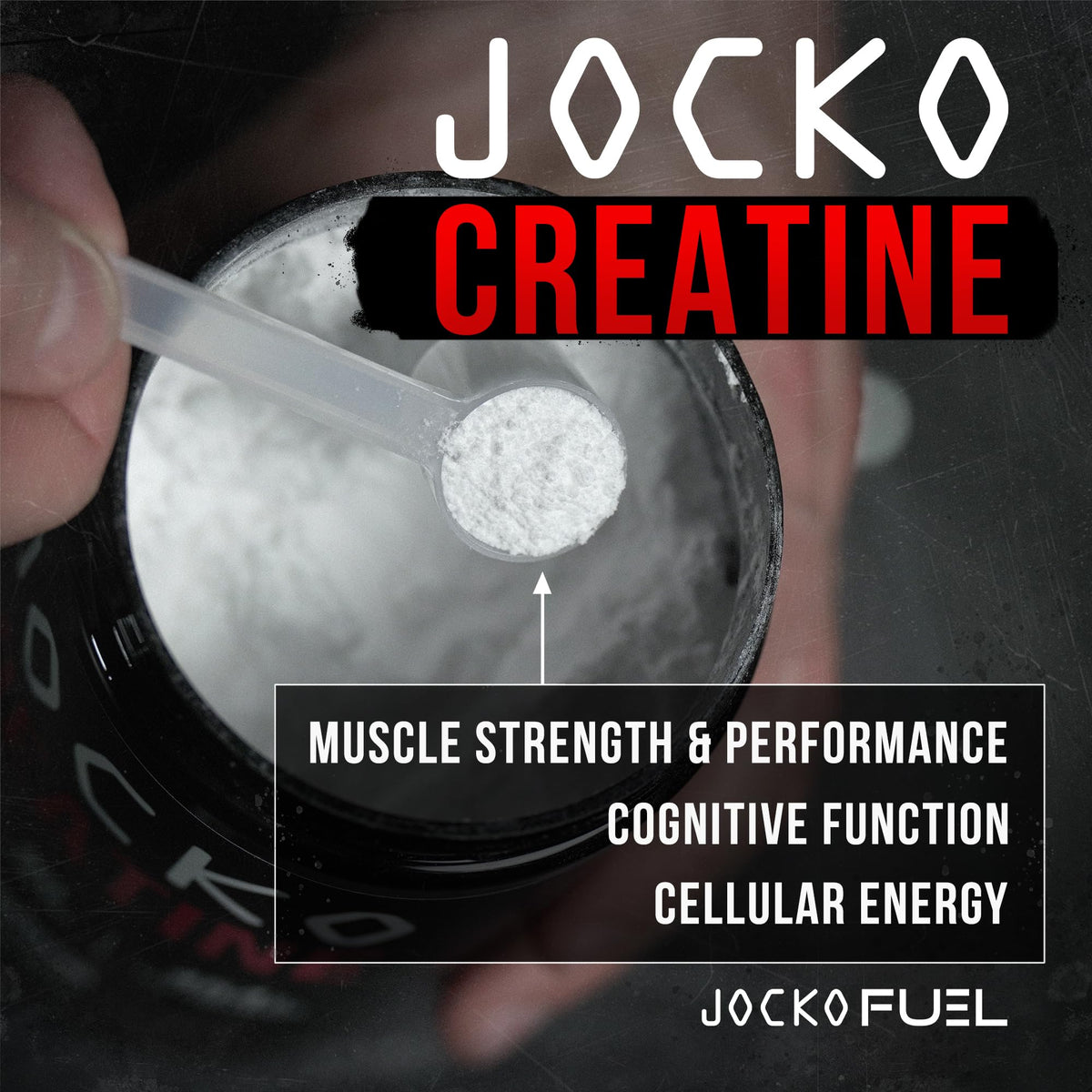 Creatine Monohydrate Powder Unflavored 454g O827