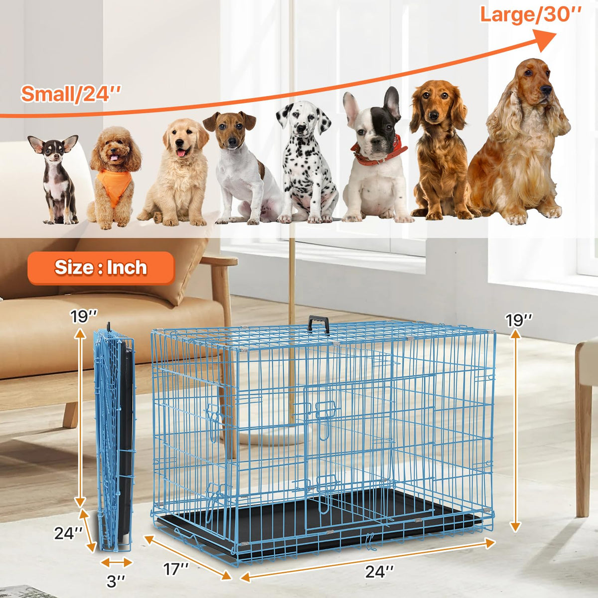 Folding Metal Dog Crate with Plastic Tray & Divider Q4221