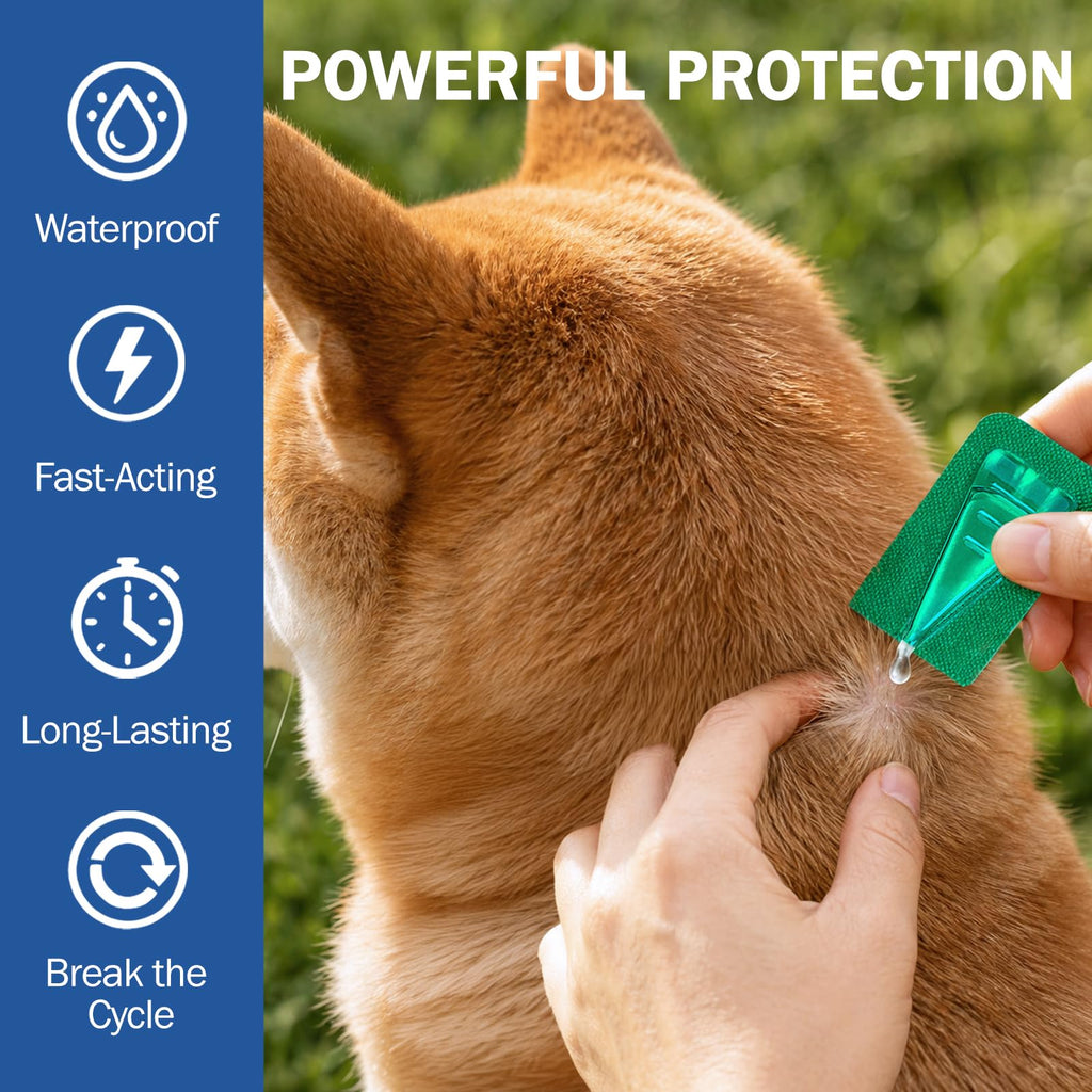 Flea and Tick Prevention for Small and Medium Dogs G662