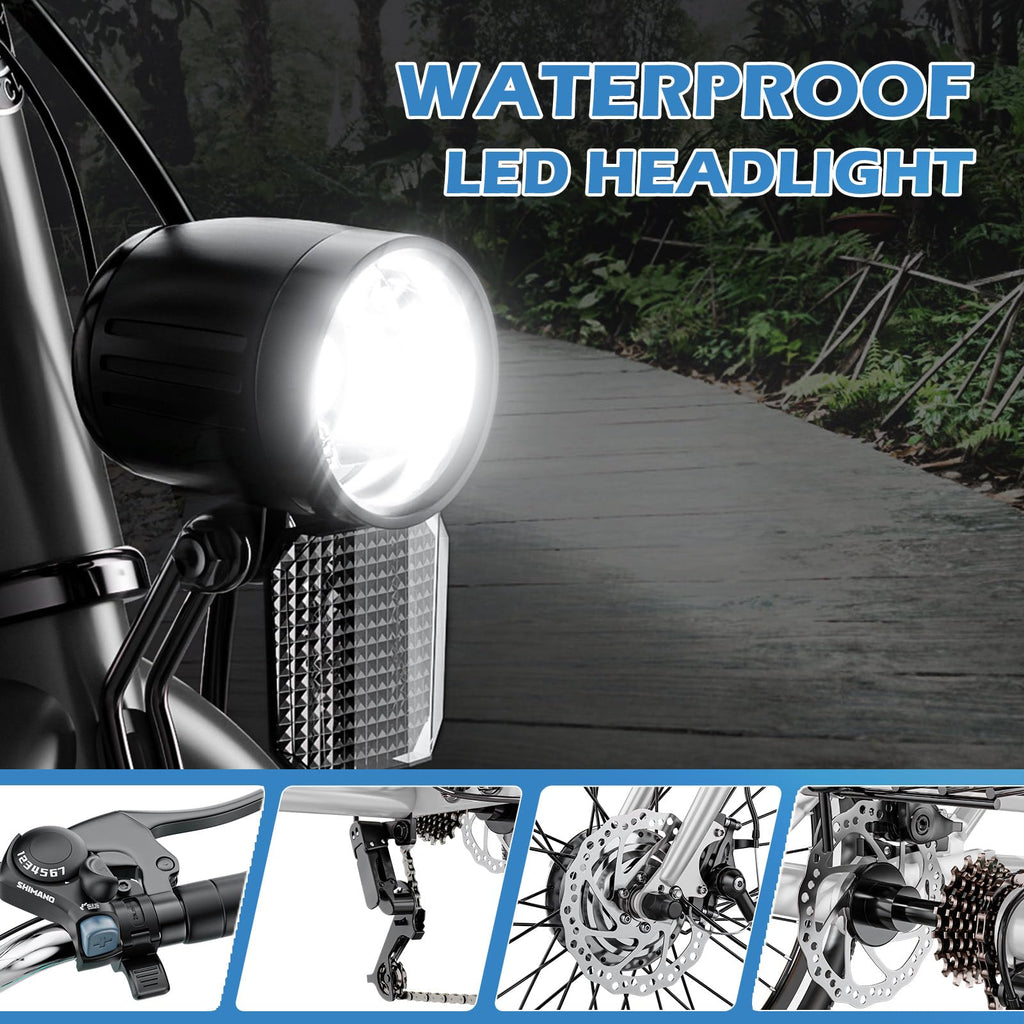 350W 36V 7 Speeds Electric Tricycle with Basket R314