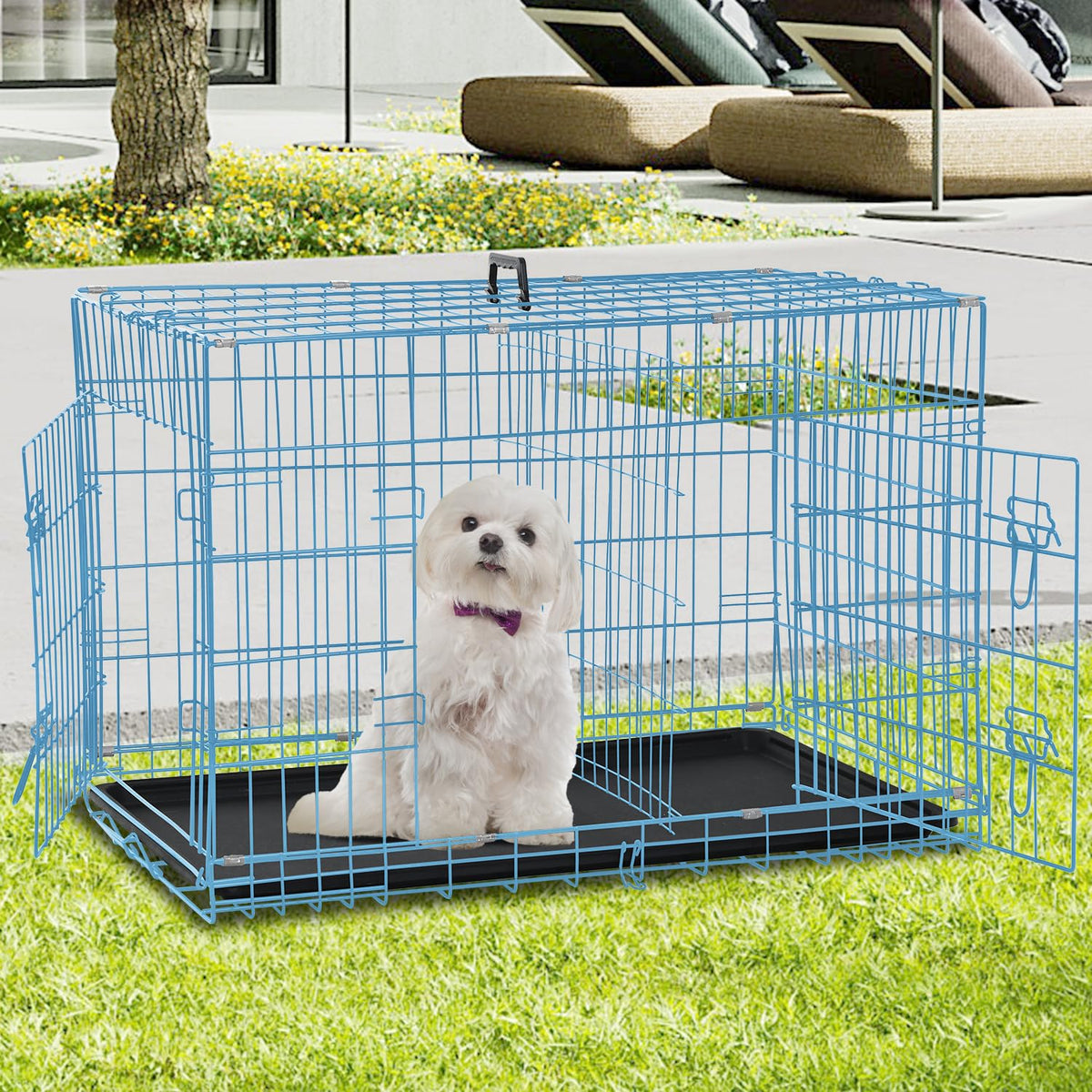 Folding Metal Dog Crate with Plastic Tray & Divider Q4221