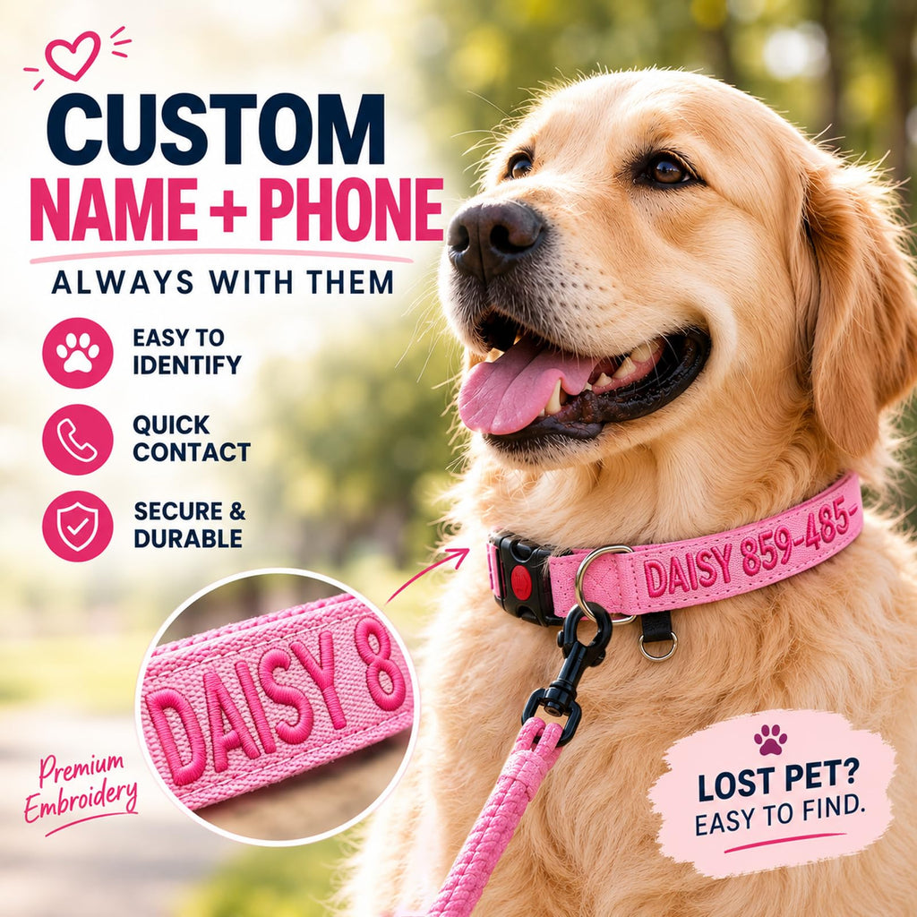 Custom Embroidered Dog Collar with Name and Number Q55372