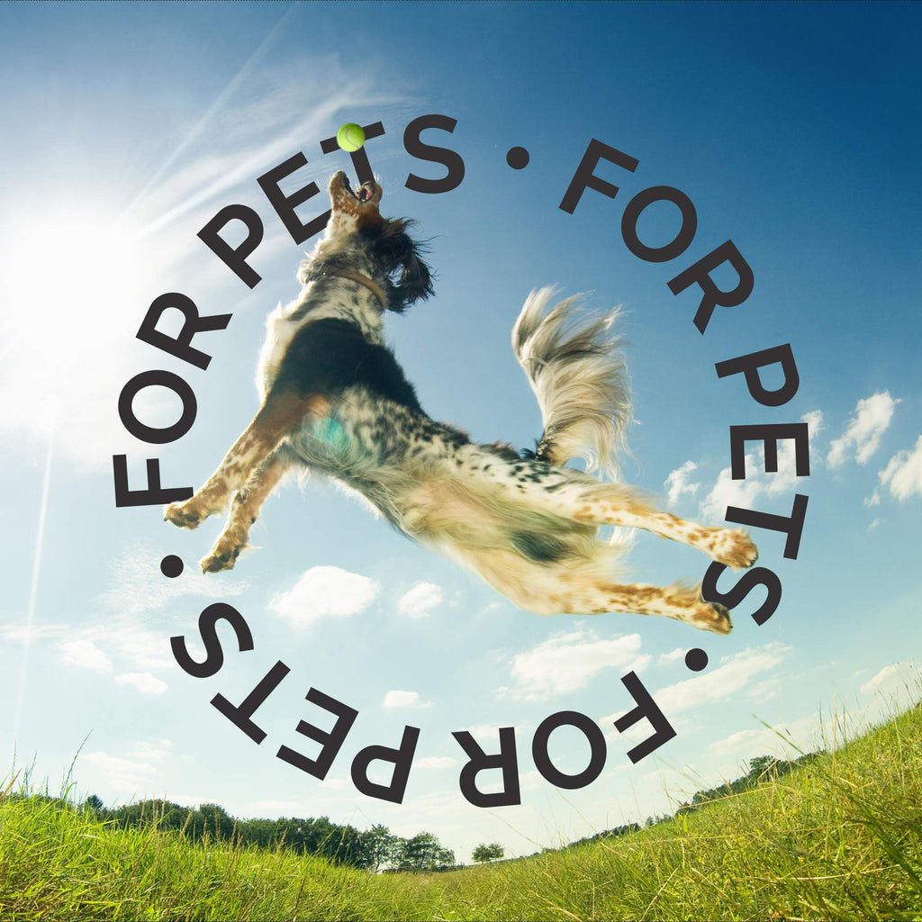 White Natural Dog Shampoo, 1 Gallon V976