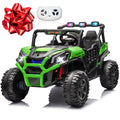 2 Seater 24V Powered Ride on Car with Remote D83801