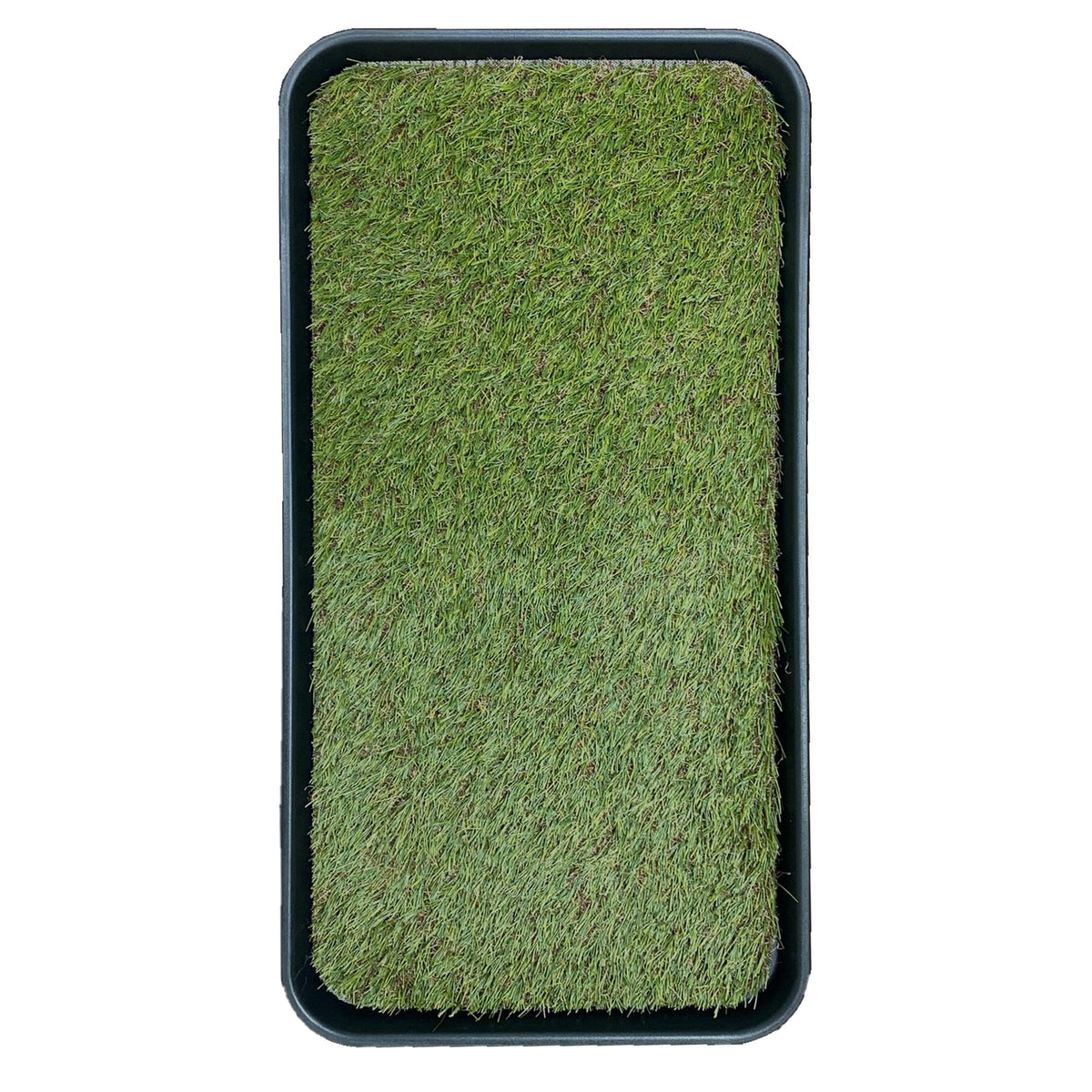 Artificial Grass Puppy Potty Training Pad with Tray 15" x 30" Q759353