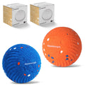 2-Pack Interactive Washable Dog Ball I2165
