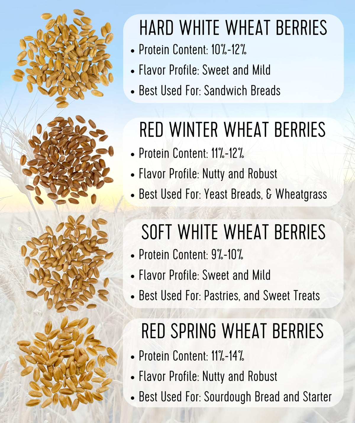 Soft White Wheat Berries 5 lbs X50623