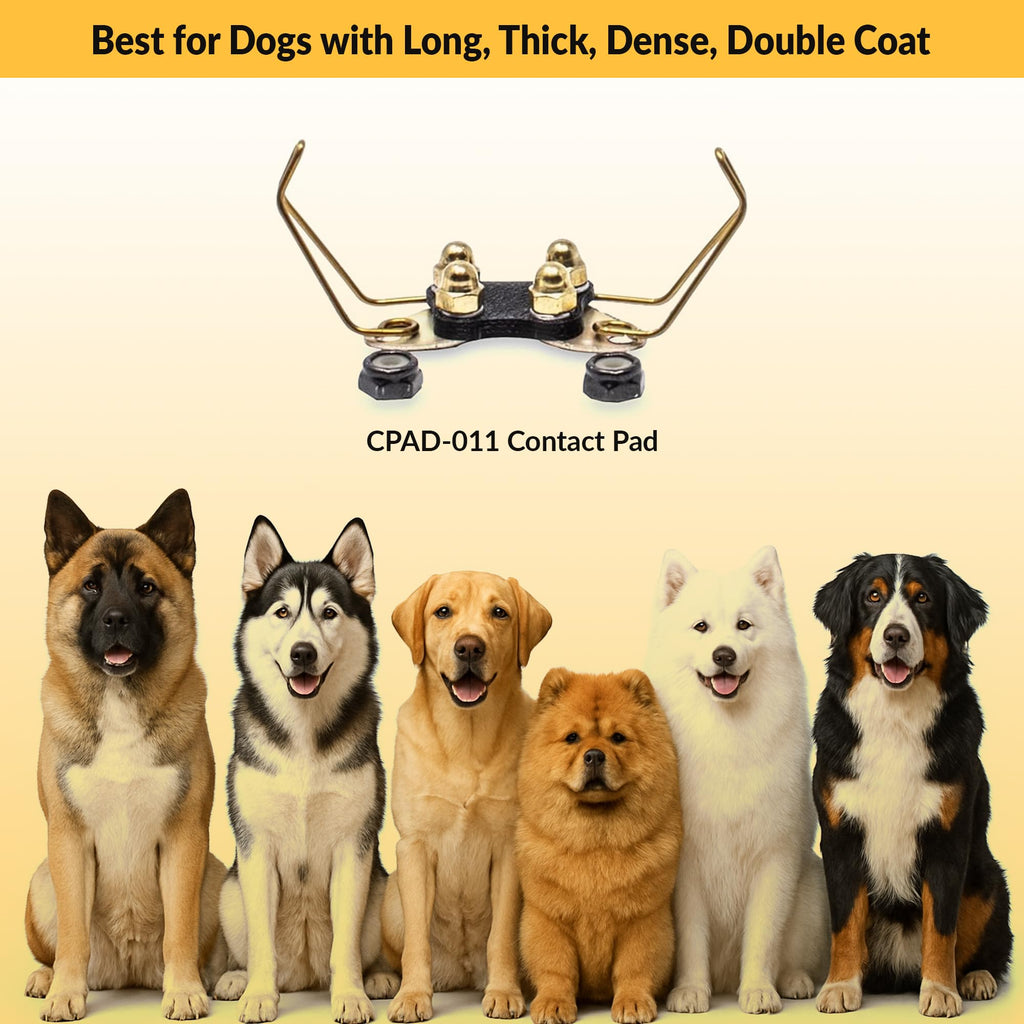 Brass Contact Pads for Training Collars R170