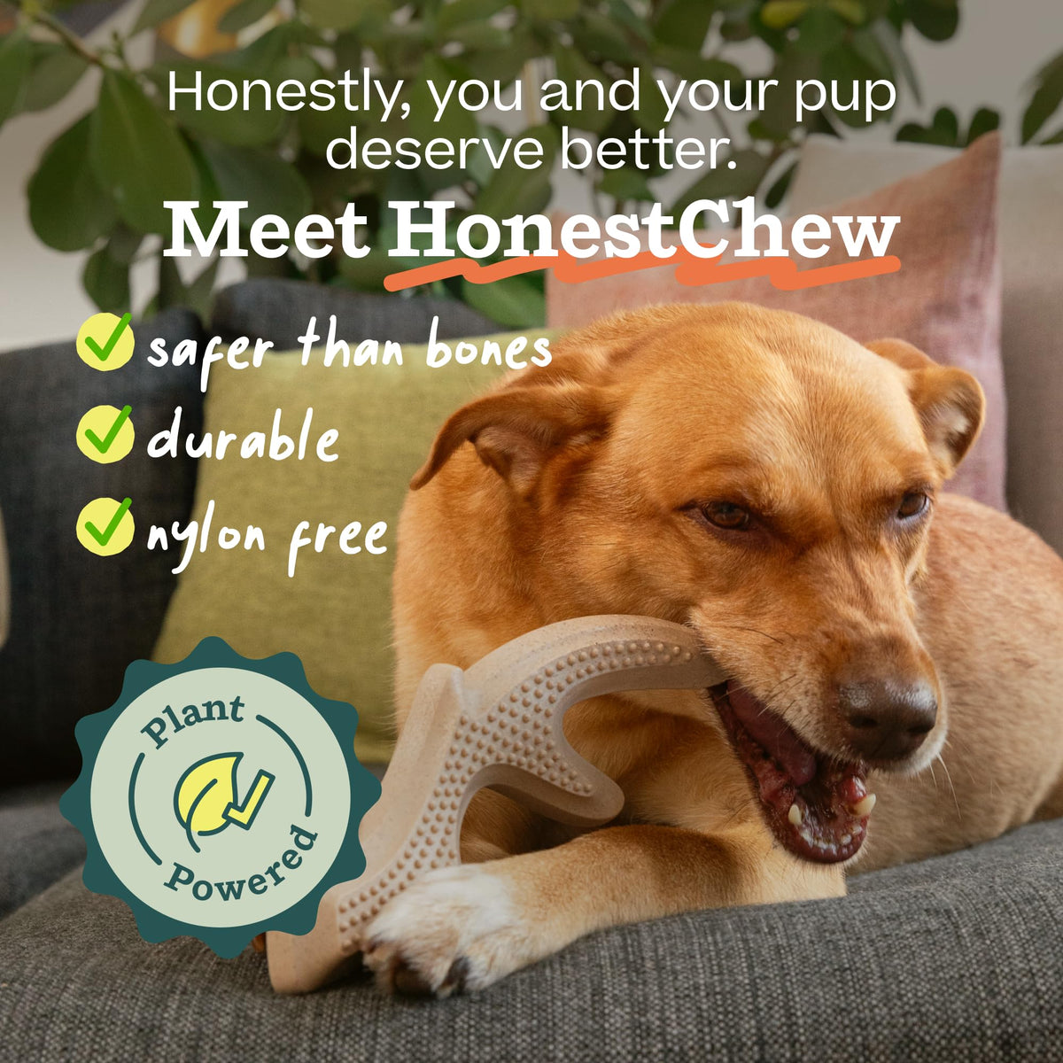 Antler Dog Chew Toy V8853