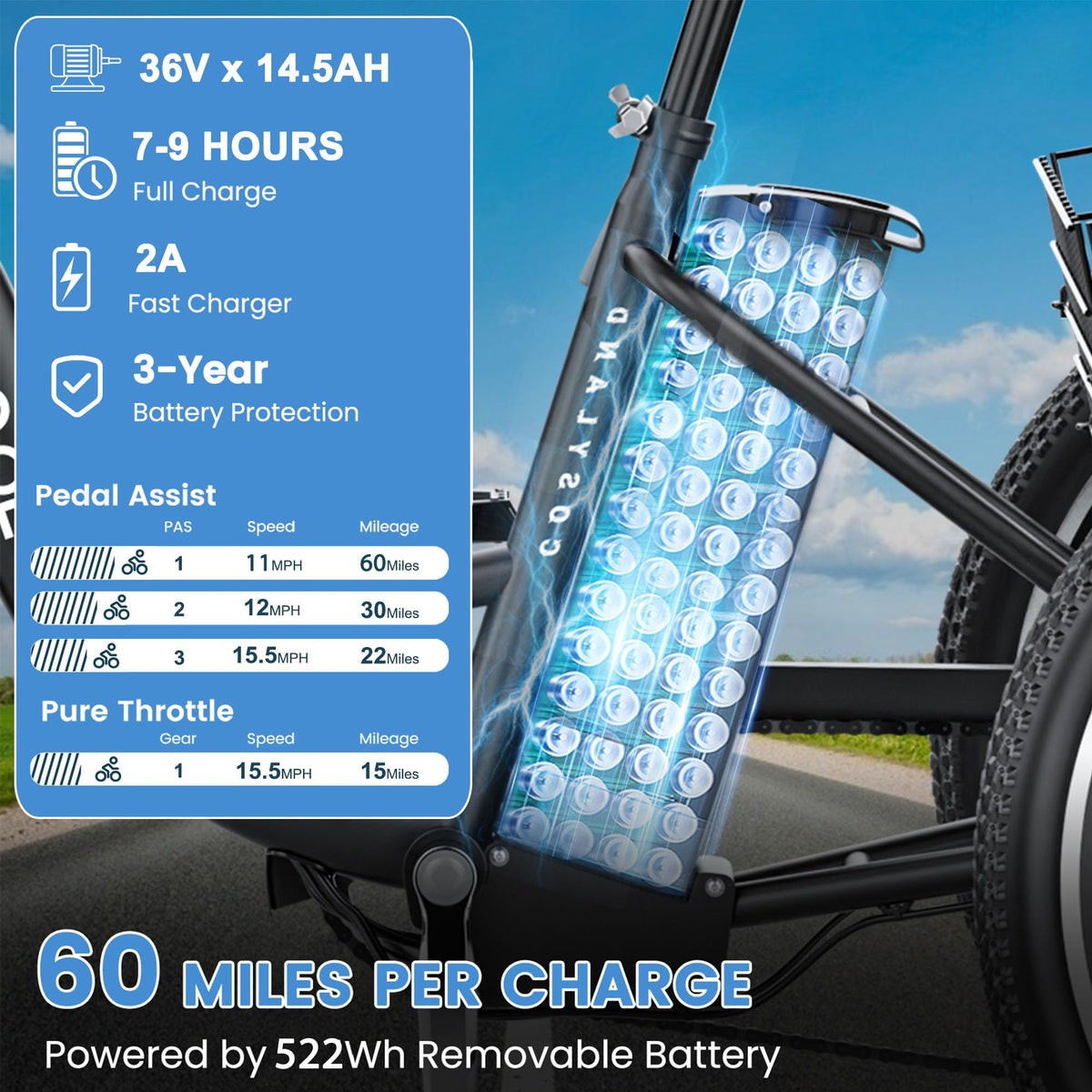350W 36V 7 Speeds Electric Tricycle with Basket R314