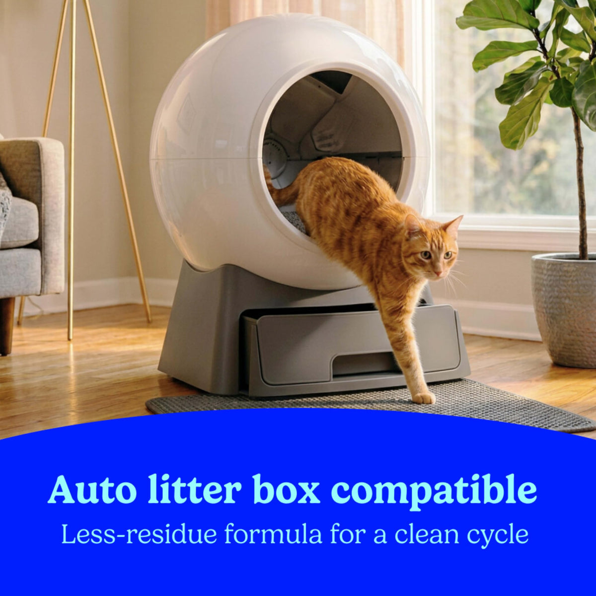 Unscented Clumping Cat Litter with Activated Charcoal, 14 lb C120