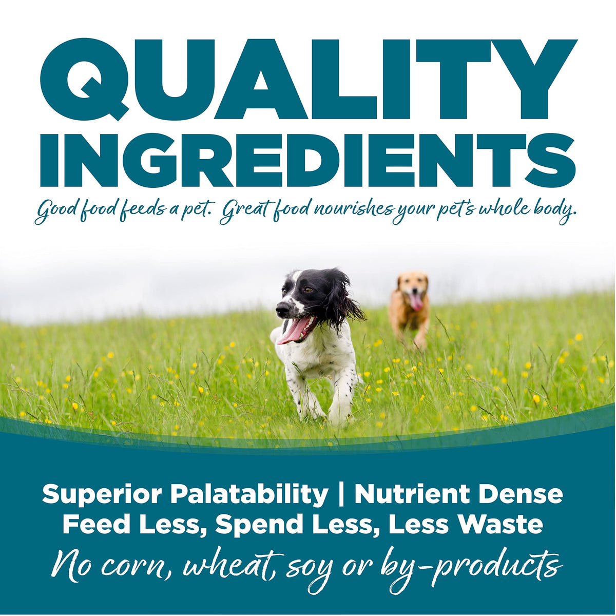 Chicken & Rice Dog Food 26lb V868912