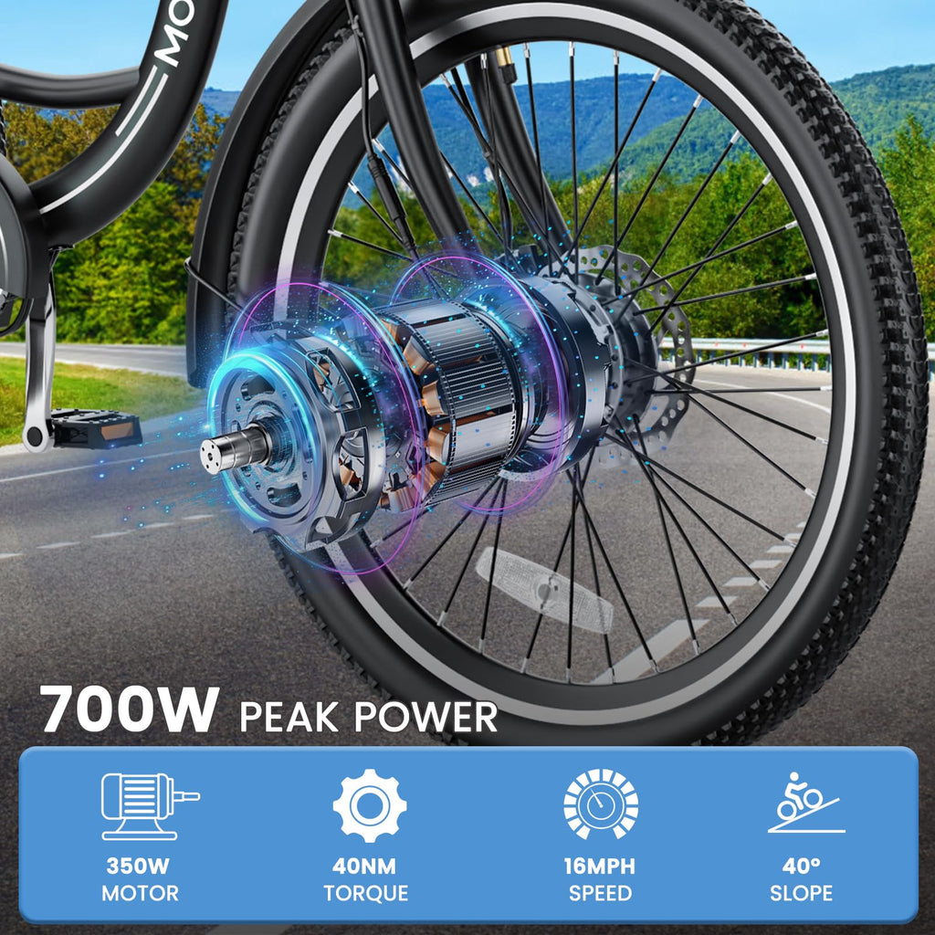 350W 36V 7 Speeds Electric Tricycle with Basket R314