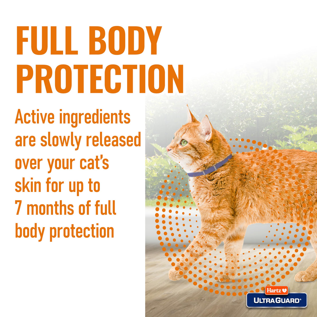 Flea & Tick Collar for Cats and Kittens I564676