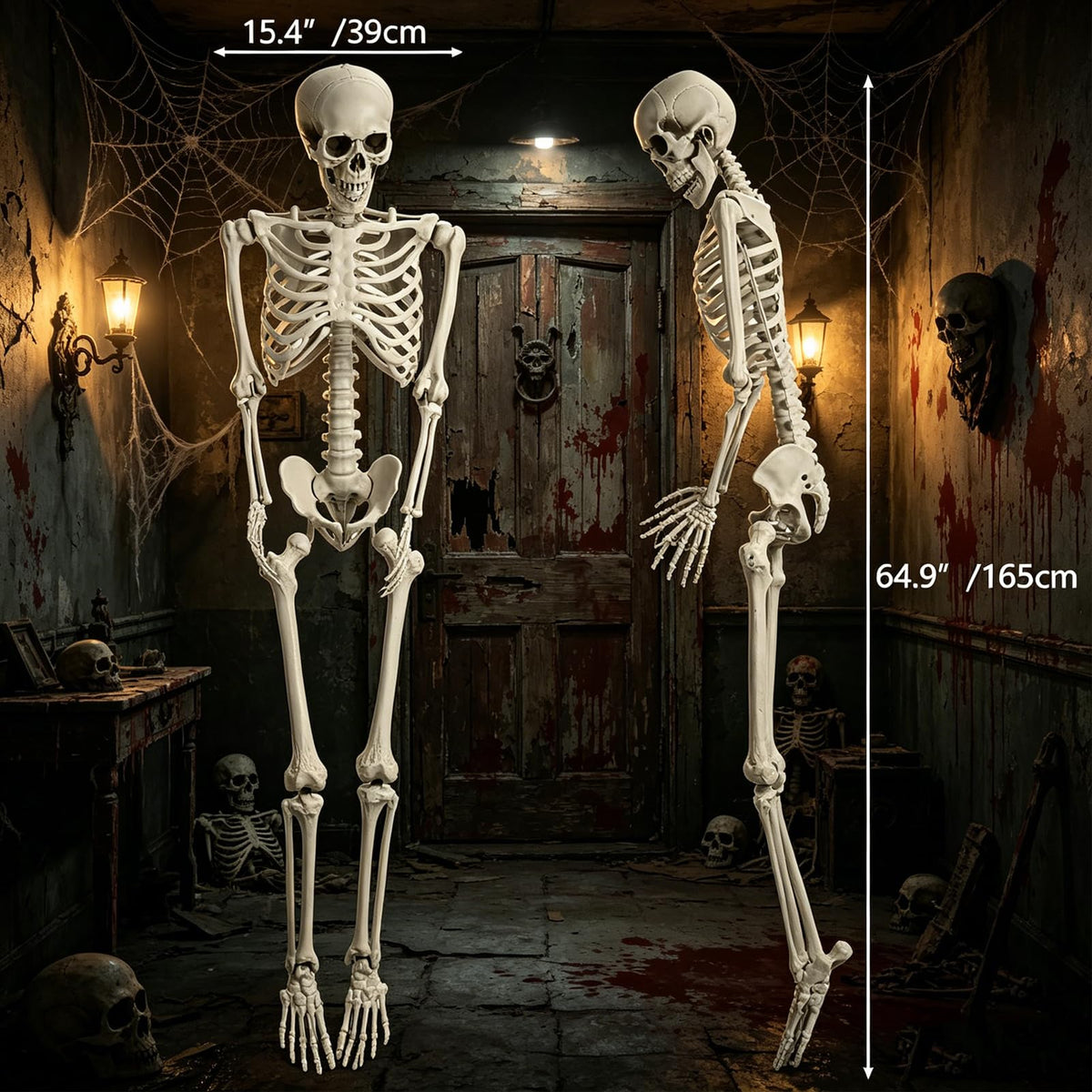 5.4FT Life Size Skeleton with Movable Joints H39030